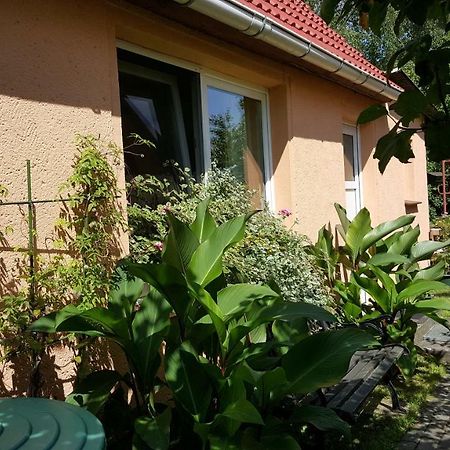 Uns Luett Hus Villa Krakow am See Exterior photo